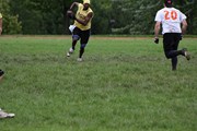 OTFL Gallery Image